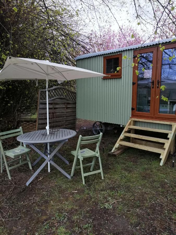 Готель Durham Donkey Rescue Shepherd'S Hut Екстер'єр фото